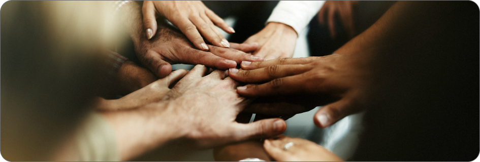 Imagem ilustrativa de parceria com ONGs